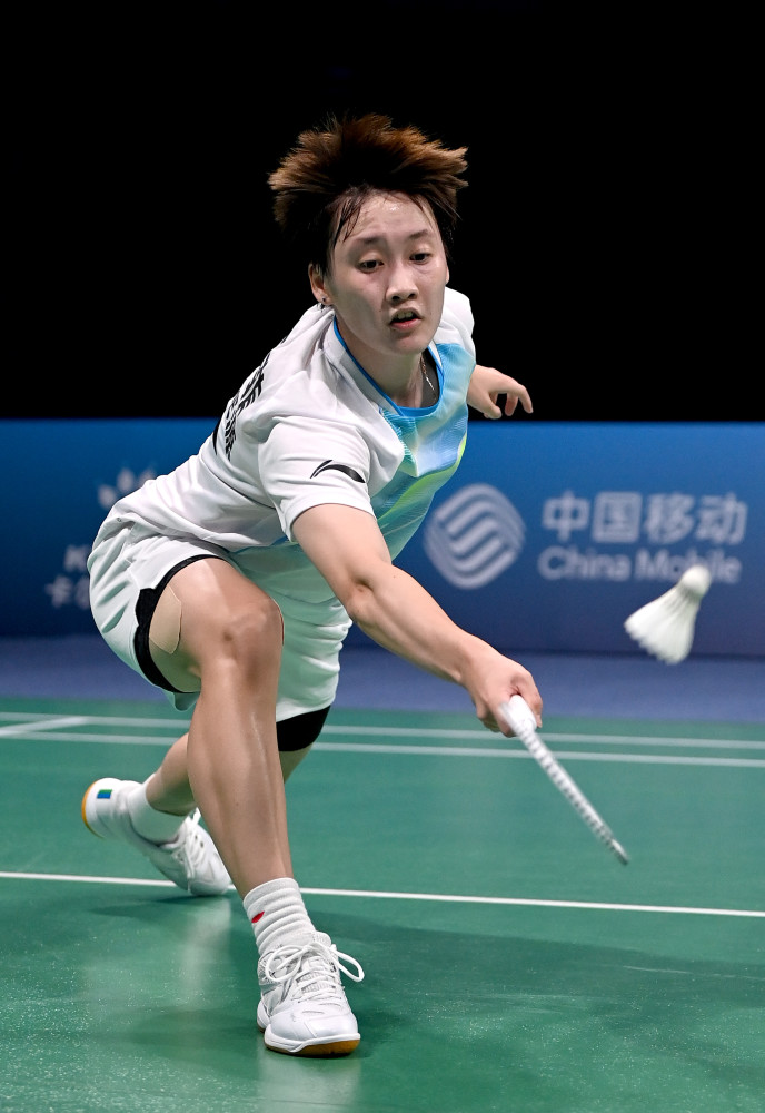 维拉正与葡 维拉正与葡