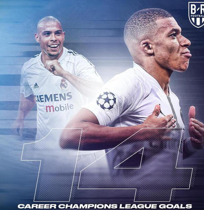 材料和具体 材料和具体